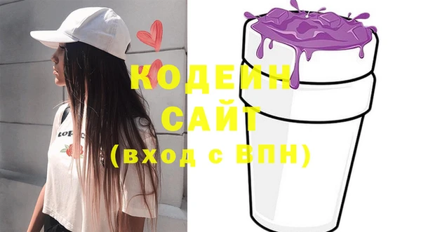дживик Бронницы