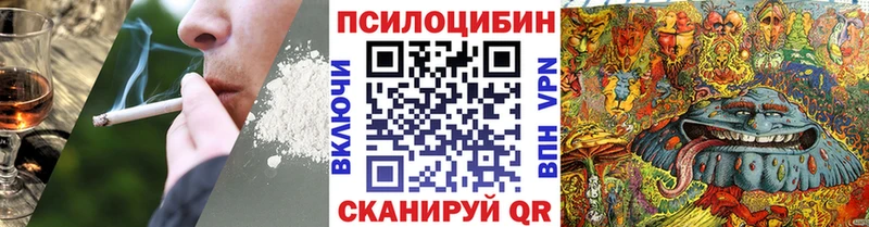 Купить где  Чердынь  Псилоцибиновые грибы Psilocybine cubensis 